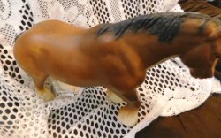 HORSE CLYD 1 E